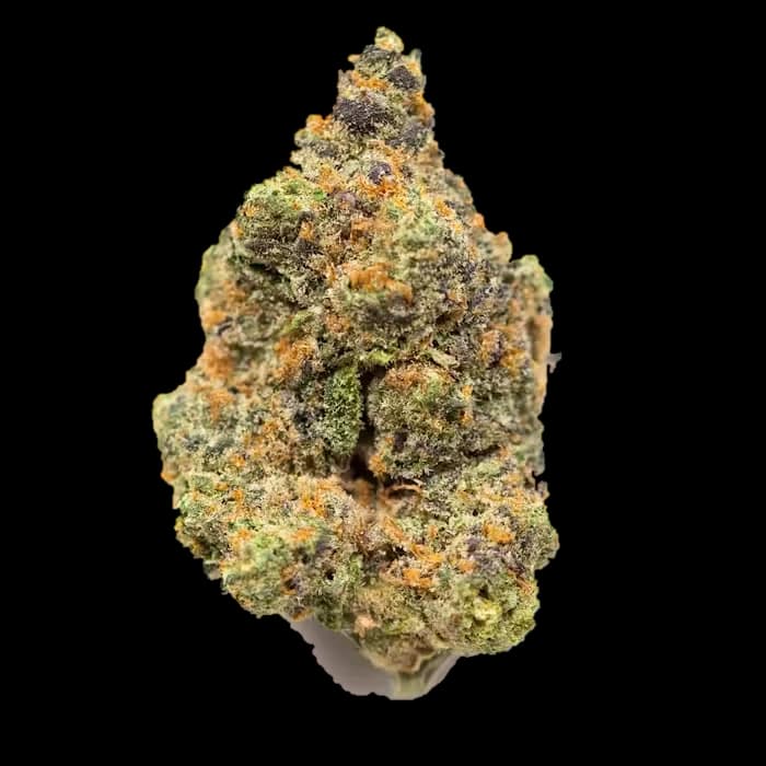 Bruce Banner #3 flower