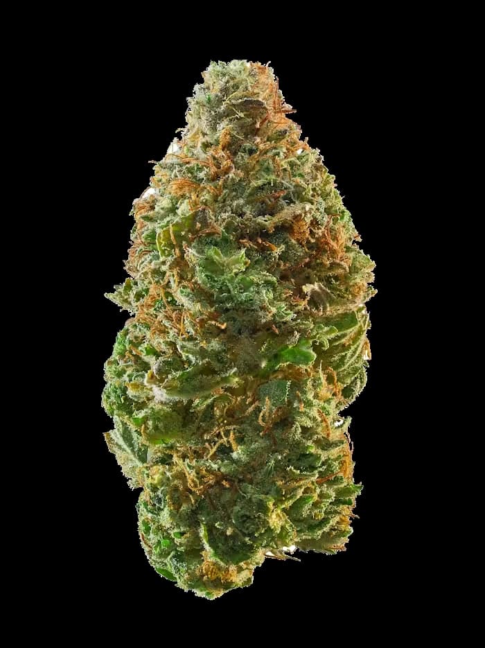Kosher Kush flower