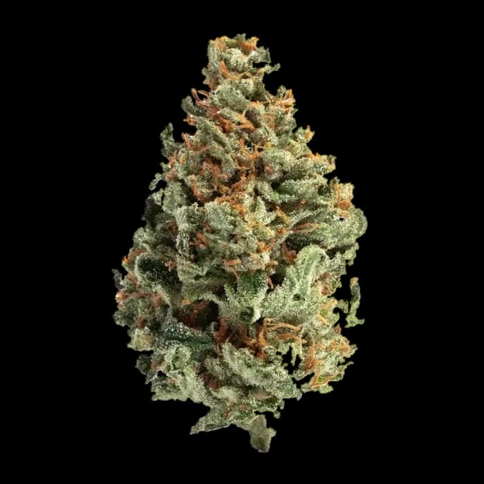 Pineapple Haze flower