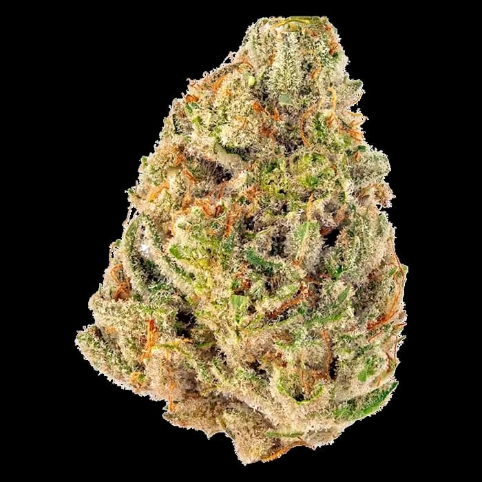Triangle Kush flower